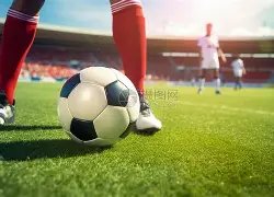 内蒙古创新,赛道,赋能农业,EVO真人视讯,EVO真人,(Sports),EVO视讯官网,EVO真人官方平台