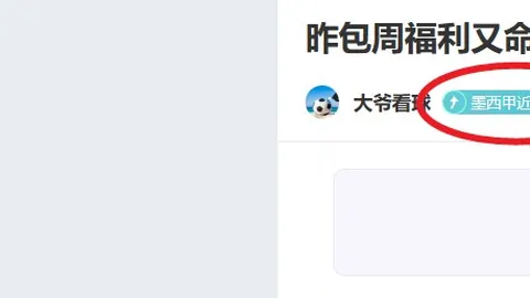 “ATP总决赛三巨头皆未到场，德约科维奇计划休憩调整——据环球时报披露”